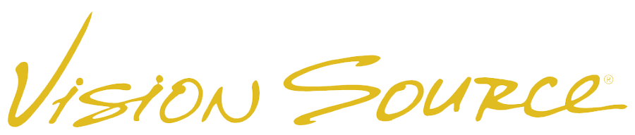 The image is a logo with the text VISION SOURCE in capital letters.
